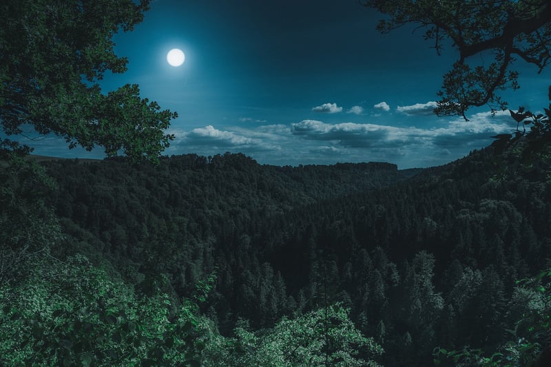 Moon and Star String Lights